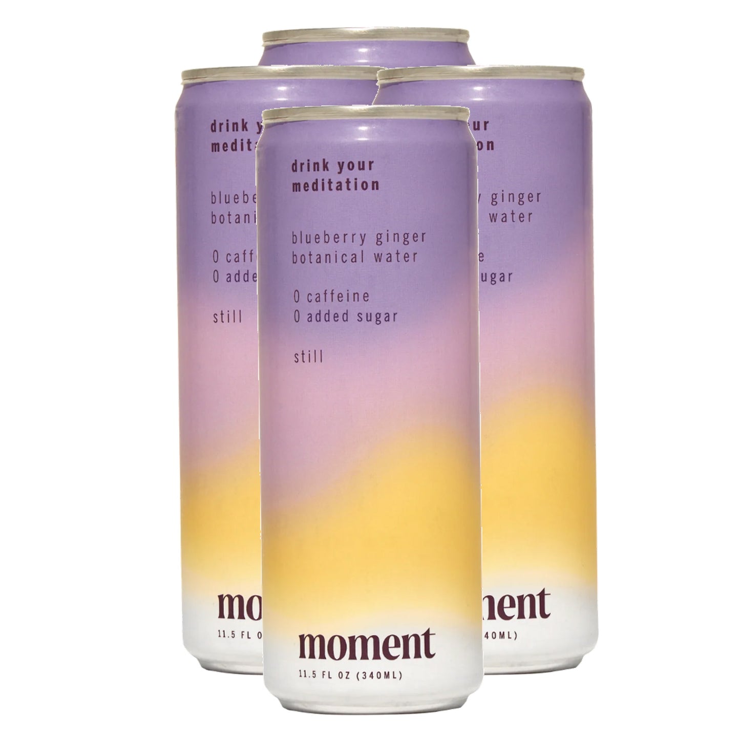 BLUEBERRY GINGER BOTANICAL WATER