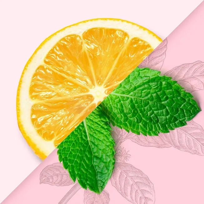MEYER LEMON MINT YERBA MATE-NON-ALCOHOLIC MOCKTAIL