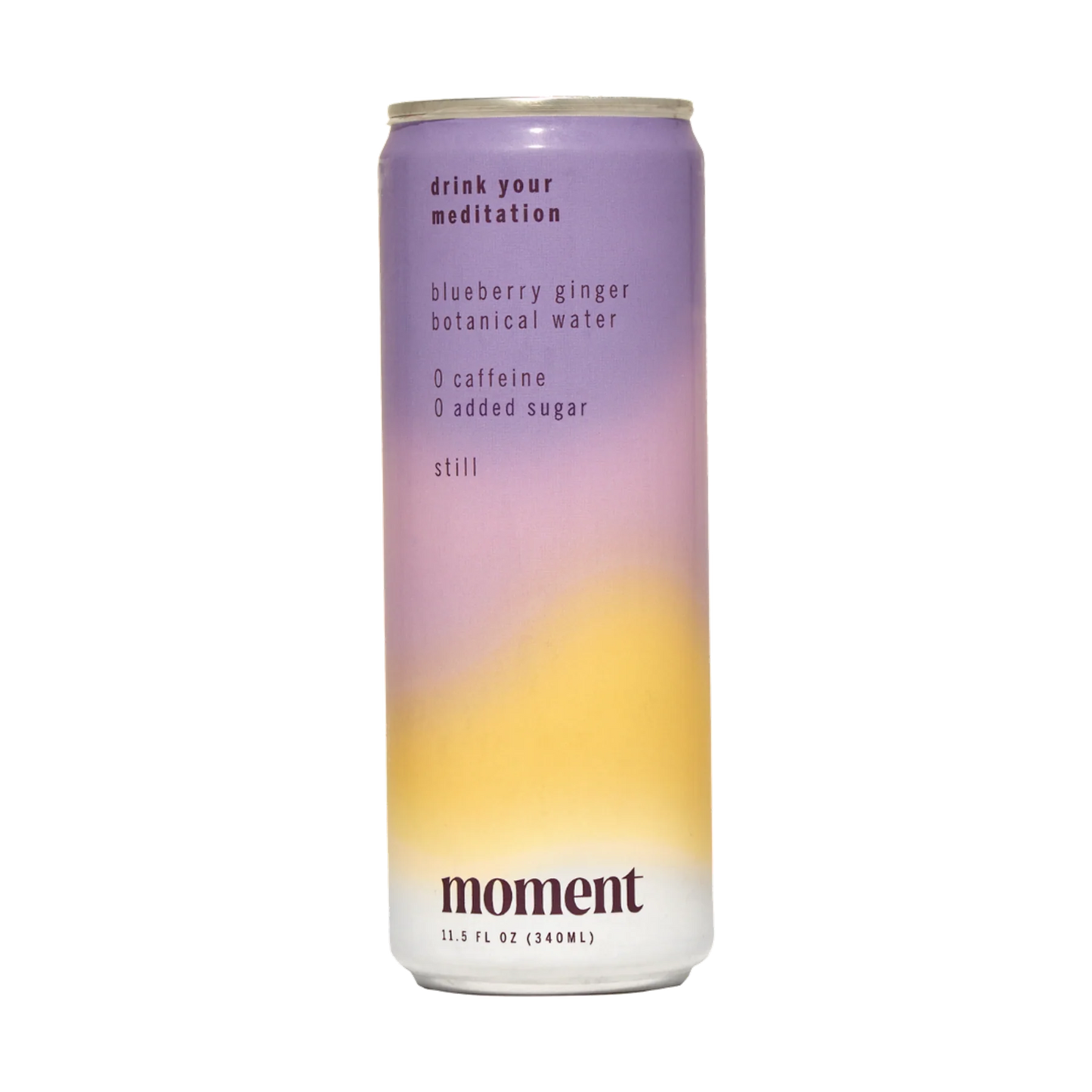 BLUEBERRY GINGER BOTANICAL WATER