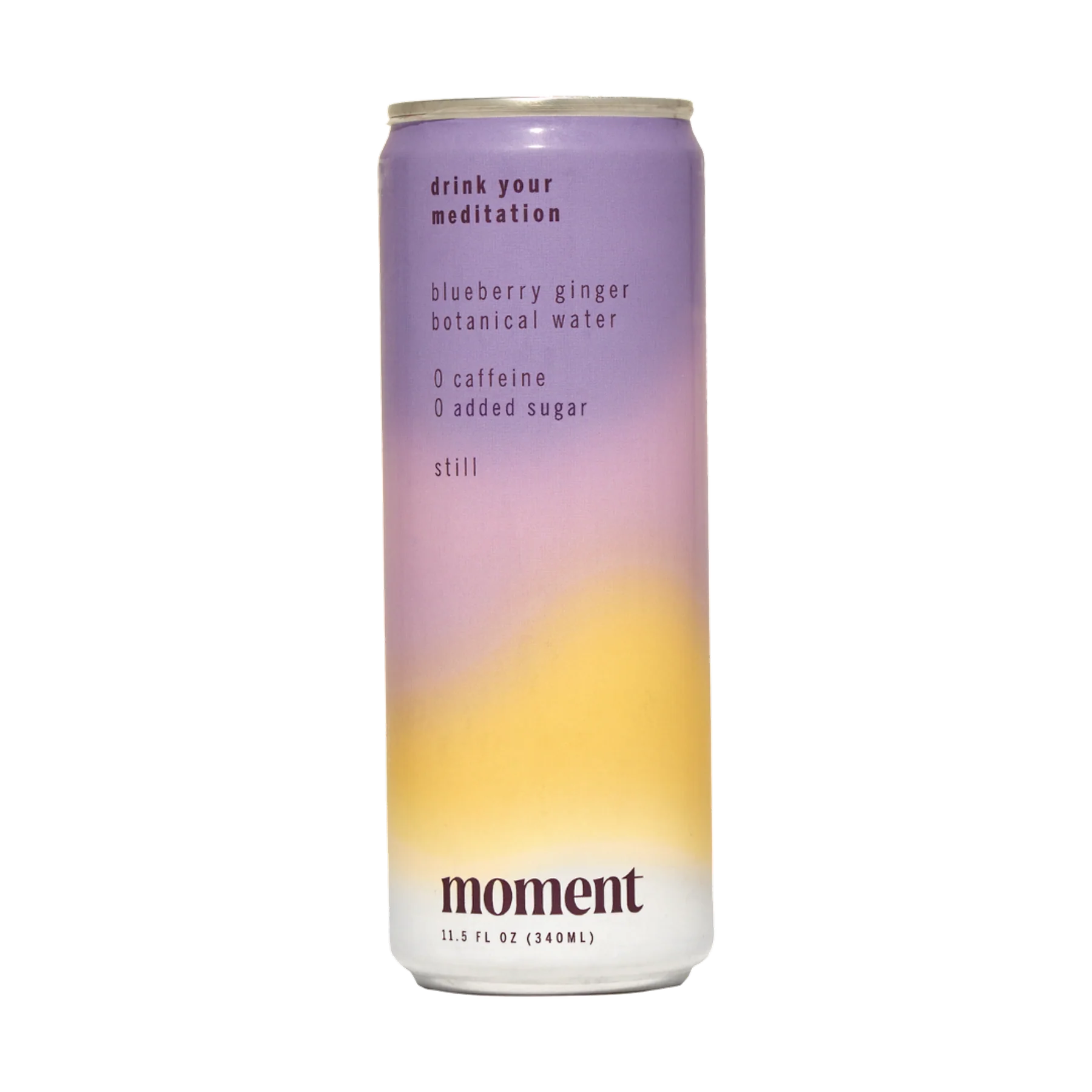 BLUEBERRY GINGER BOTANICAL WATER