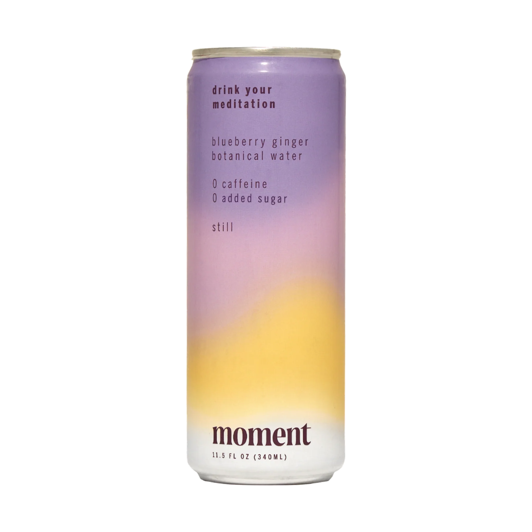 BLUEBERRY GINGER BOTANICAL WATER