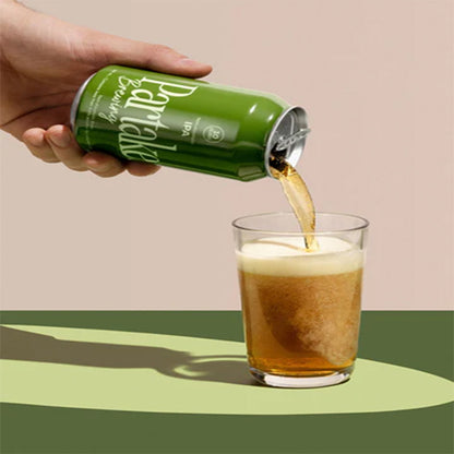 IPA-NON-ALCOHOLIC BEER